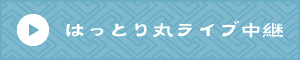 はっとり丸ライブ中継